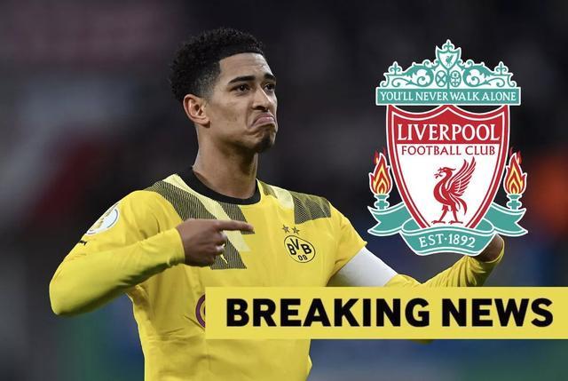 日本足协主席：日本没8万人球场，或联合申办2046世界杯（日本足协主席称日本暂无8万人容量球场，或与他国联合申办2046年世界杯）